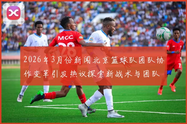 2026年3月份新闻北京篮球队团队协作变革引发热议探索新战术与团队精神的结合